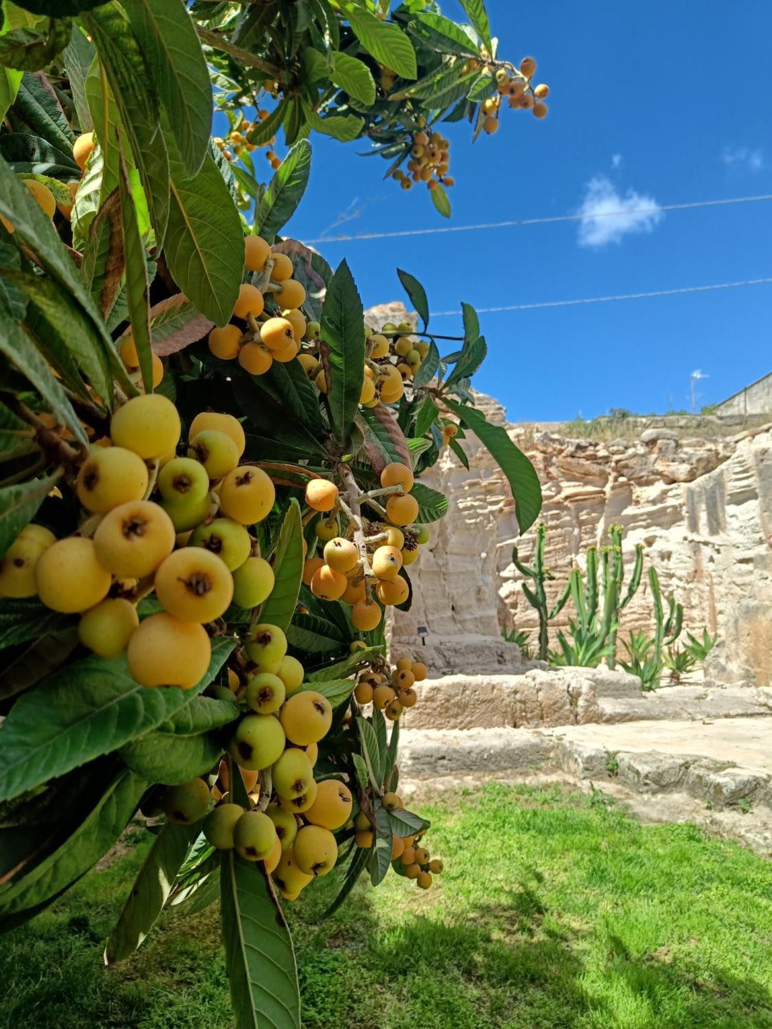 Apartment La Dimora Del Cavatore Favignana
